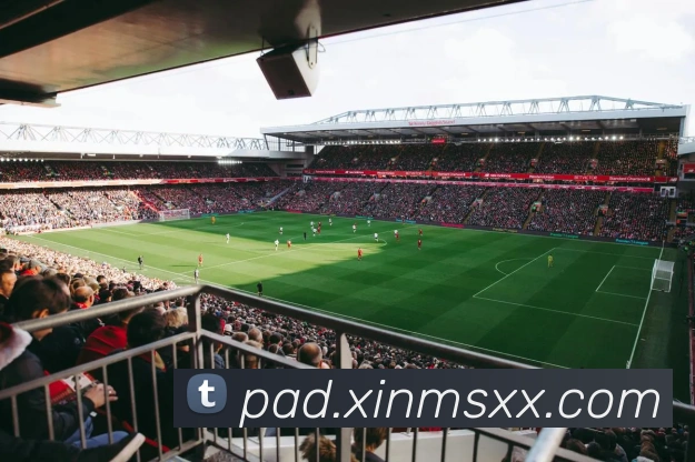 乐鱼官方网站，乐鱼online（中国）APP 封面图